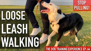 How I’m Training My Dog To Walk on Leash Without PullingUPDATE [upl. by Yorle102]