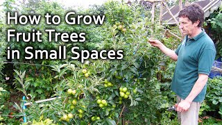 How to Grow Fruit Trees in Small Spaces [upl. by Nyvar150]