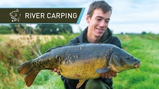 River Carp Fishing for BEAUTIFUL Carp [upl. by Combs984]