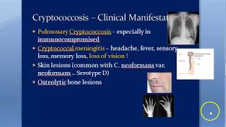 Microbiology 588 a Cryptococcus neoformans Cryptococcosis Cryptococcal meningitis Mycology Gattii [upl. by Ellivro201]