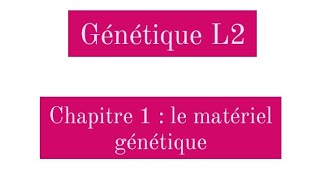 Génétique L2  le matériel génétique [upl. by Rekyr]