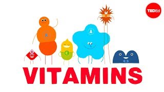 How do vitamins work  Ginnie Trinh Nguyen [upl. by Ycnej]