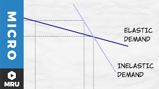 Elasticity of Demand [upl. by Ennairod]