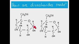 AS Biology  Making and breaking glycosidic bonds [upl. by Ecnarwal]