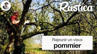 Rajeunir un vieux pommier [upl. by Alikahs]