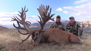 Giant red stag hunting in New Zealand with Exclusive Adventures  Record Book stag [upl. by Aholah]