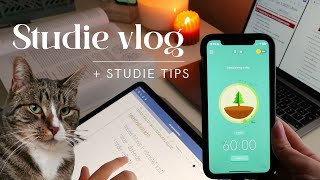 STUDIE VLOG  Samenvatten en Studie Tips [upl. by Marcel]