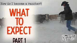 How Do I Become A Rancher  Part 1  What to Expect [upl. by Uttasta]