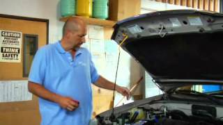 How to Check amp Add PowerSteering Fluid [upl. by Nnaeitak]