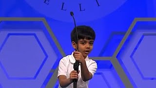 Adorable 6 Years old Akash  Scripps National Spelling Bee 2016  Round 2 [upl. by Eladnar573]