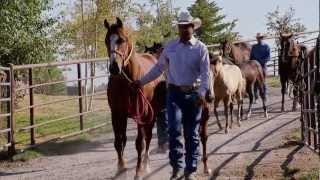 Montana Horse Ranch  Americas Heartland [upl. by Verlie110]