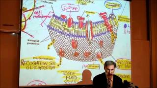 BIOLOGY CYTOLOGY PART 1 by Professor Fink [upl. by Nicol]