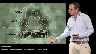 Arthur Horwich YaleHHMI Part 3 Where are proteins folded by chaperonins [upl. by Harac953]