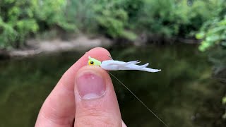 Ultralight Multi Species River Fishing [upl. by Asset]