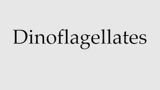 How to Pronounce Dinoflagellates [upl. by Paten]