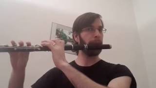 The Eavesdropper Irish jig on antique Th Poppe flute [upl. by Mitchael]