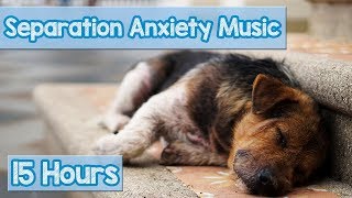 15 HOURS of Deep Separation Anxiety Music for Dog Relaxation Helped 4 Million Dogs Worldwide NEW [upl. by Ibbetson715]