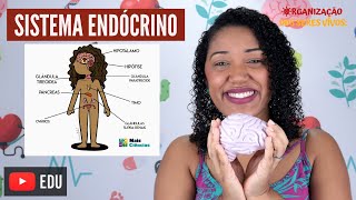 Aula Sistema Endócrino Ep 9 [upl. by Milzie]