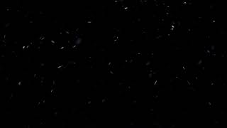 Huge Dust Particles Overlay  Free HD Vfx Footage [upl. by Moyna]