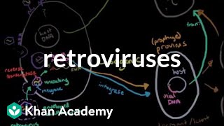 Retroviruses  Cells  MCAT  Khan Academy [upl. by Dlanod]