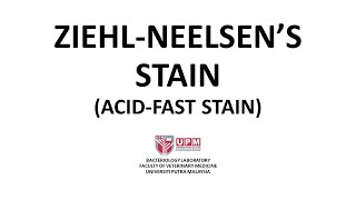 Ziehl Neelsen Stain AcidFast Stain  Principle Procedure and Interpretation [upl. by Ylla748]