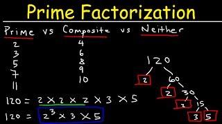 Prime Factorization Explained [upl. by Nonah154]