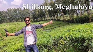 Shillong Tourist Places  Shillong Tour Plan  Shillong Tour Budget  Shillong Tour Guide Meghalaya [upl. by Sualokcin]