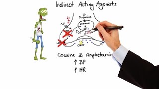 Pharmacology  ADRENERGIC RECEPTORS amp AGONISTS MADE EASY [upl. by Annoled]