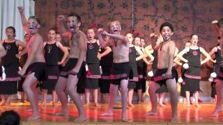 Willow Park School Kapa Haka 2011 [upl. by Gonroff]