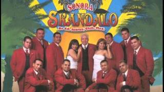 Lo amo  Sonora Skandalo [upl. by Meldon]