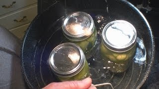 How to Can Hot Peppers Best Recipe [upl. by Leoline826]