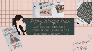 ENVELOPPE BUDGET  MON PLANNER FINANCIER TOTALEMENT GRATUIT  DEFIS ET CHALLENGE INEDITS [upl. by Octave]