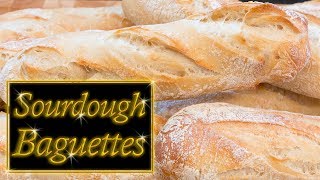 Sourdough Baguettes easy step by step [upl. by Ensoll]