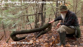 Tom Wessels Reading the Forested Landscape Part 2 [upl. by Acim]