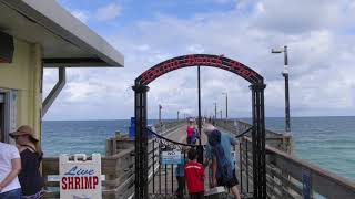 10 things to like about Dania Beach Florida fishing pier [upl. by Nannek]