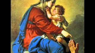 Salve Mater Misericordiae  Catholic Song of Praise to Mary [upl. by Enitram113]