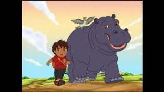 Go Diego Go  Diego Reunites Hippo [upl. by Iseabal]