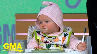 Baby experts share tips on how to successfully feed fussy eaters l GMA [upl. by Etnaihc]