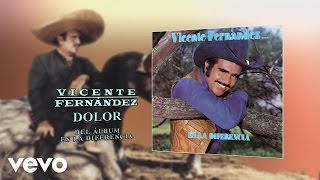 Vicente Fernández  Dolor Cover Audio [upl. by Holder444]