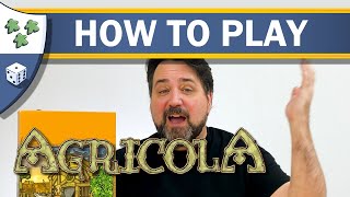 How to Play Agricola [upl. by Care196]