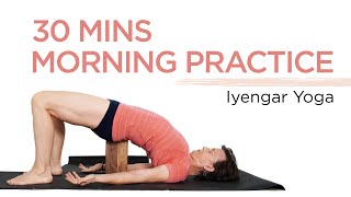 Iyengar Yoga for Beginners [upl. by Volny]