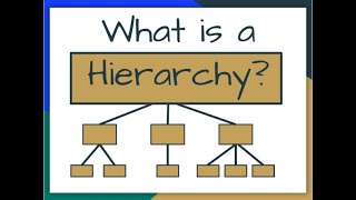 What Is A Hierarchy [upl. by Dj]