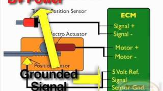 VGT Turbo Position Sensor Test [upl. by Iclek]