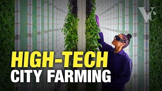 Why the Future of Farming is in Cities  The Big Money in Vertical Farming [upl. by Layney]