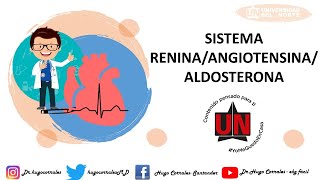 SISTEMA RENINA ANGIOTENSINA ALDOSTERONA FISIOLOGÍA [upl. by Alastair984]