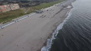 Livestream Egmond aan Zee [upl. by Darya]