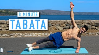 8 MINUTE TABATA WORKOUT  FullBody  No Equipment w Ash Crawford [upl. by Barnett]