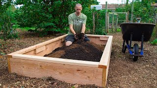 How to Build a Raised Bed CHEAP and EASY Backyard Gardening [upl. by Niletak]