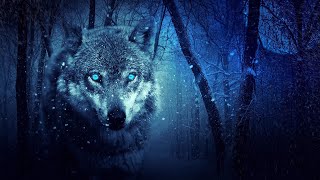 Wolves howling in the night 8 Hours of wolf sounds [upl. by Cindi251]