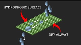 Science behind Hydrophobic technologies  The lotus effect [upl. by Ribaudo]